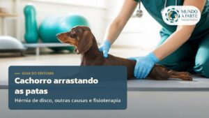 Cachorro arrastando as patas: pode ser hérnia de disco?