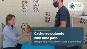 Cachorro pulando com uma pata: pode ser luxação de patela?